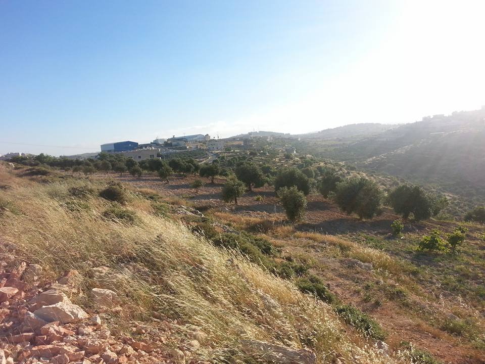  | موسوعة القرى الفلسطينية